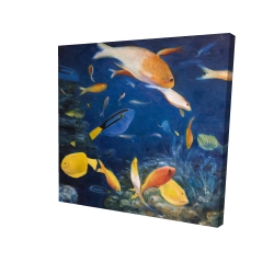 Colorful fish under the sea