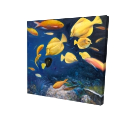Fish under the sea