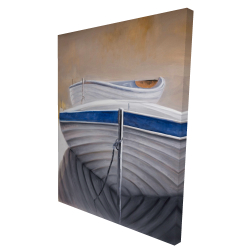 Two canoe boats