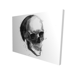 Crâne noir et blanc