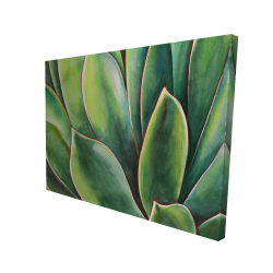 Plante d'agave à l'aquarelle