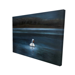 Magnifique cygne