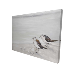 Deux oiseaux bécasseau