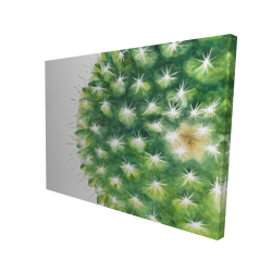 Mini cactus à l'aquarelle