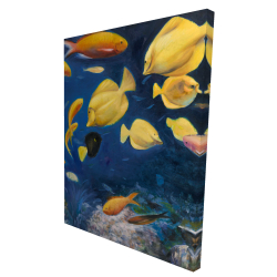 Fish under the sea