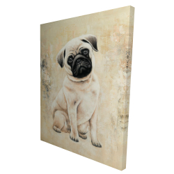 Small pug dog
