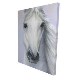 Powerful white horse