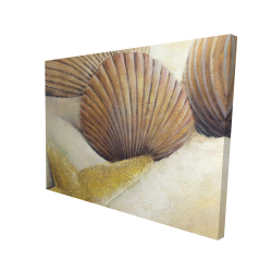Vue d'une étoile de mer et de coquillages sur la plage