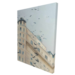Birds flying in front of a building
