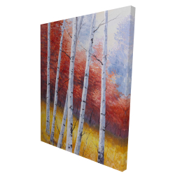 Paysage d'automne avec bouleaux
