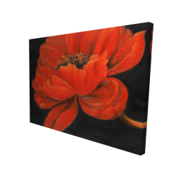 Red petal flower
