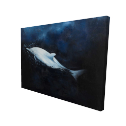 Swimming dolphin
