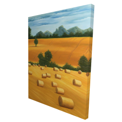 Hay bale fields