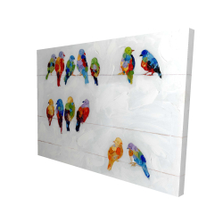Oiseaux colorés sur des fils