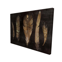 Brown feather set