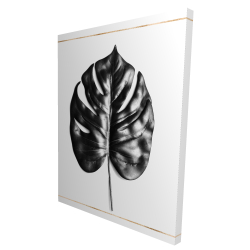 Philodendron à feuilles divisées avec lignes dorées