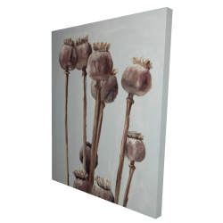 Plantes à tête de pavot sépia