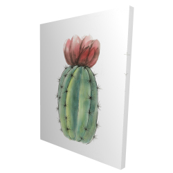 Ensemble de mini cactus