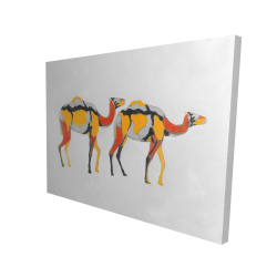 Abstract dromedaries