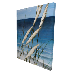 Plante oyat dans le vent sur la plage