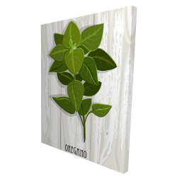 Origan sur bois