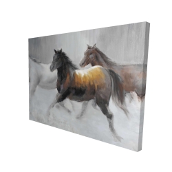 Troupeau de chevaux sauvages
