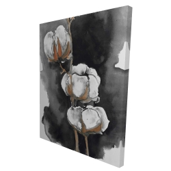 Watercolor cotton flowers