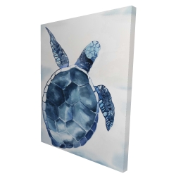 Tortue bleu