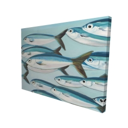 Small fish of caesio caerulaurea