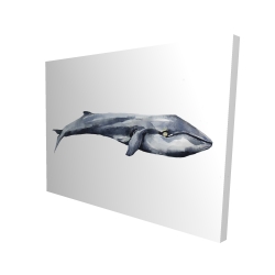 Baleine en aquarelle