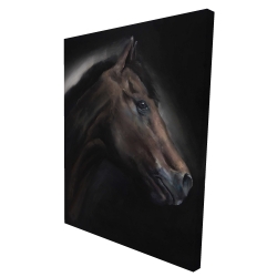 Cheval solitude