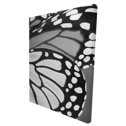 Plan rapproché d'ailes de papillon
