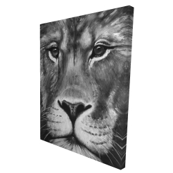 Lion portrait