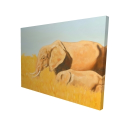 éléphant et son tout petit