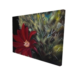 Echinopsis red cactus flower