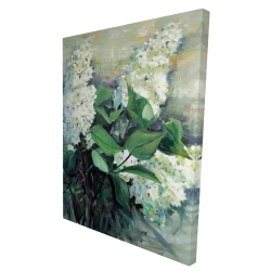 Lilas blanc