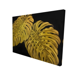 Gold monstera