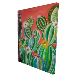 Cactus en arc-en-ciel
