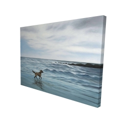 Dog on the beach