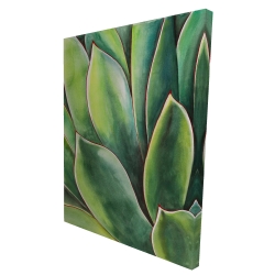 Plante d'agave à l'aquarelle