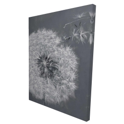 Blowing dandelion