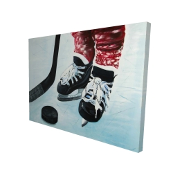 Young hockey player