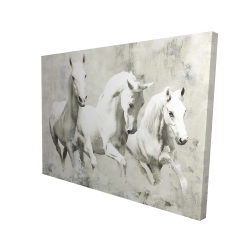 Three white horses running