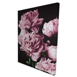 Pivoines roses