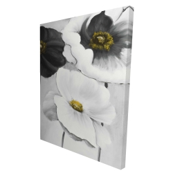 Assortiments de fleurs blanches