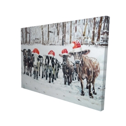 Curious christmas cows