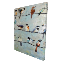 Petits oiseaux colorés
