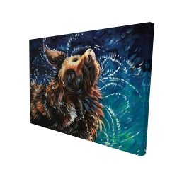 Wet golden retreiver shaking to dry