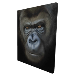 Visage de gorille