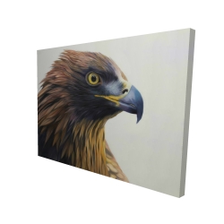 Brown-headed eagle